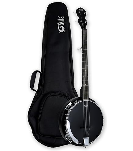 Amazon.com: Washburn Americana Series B9-WSH-A 5 String Banjo