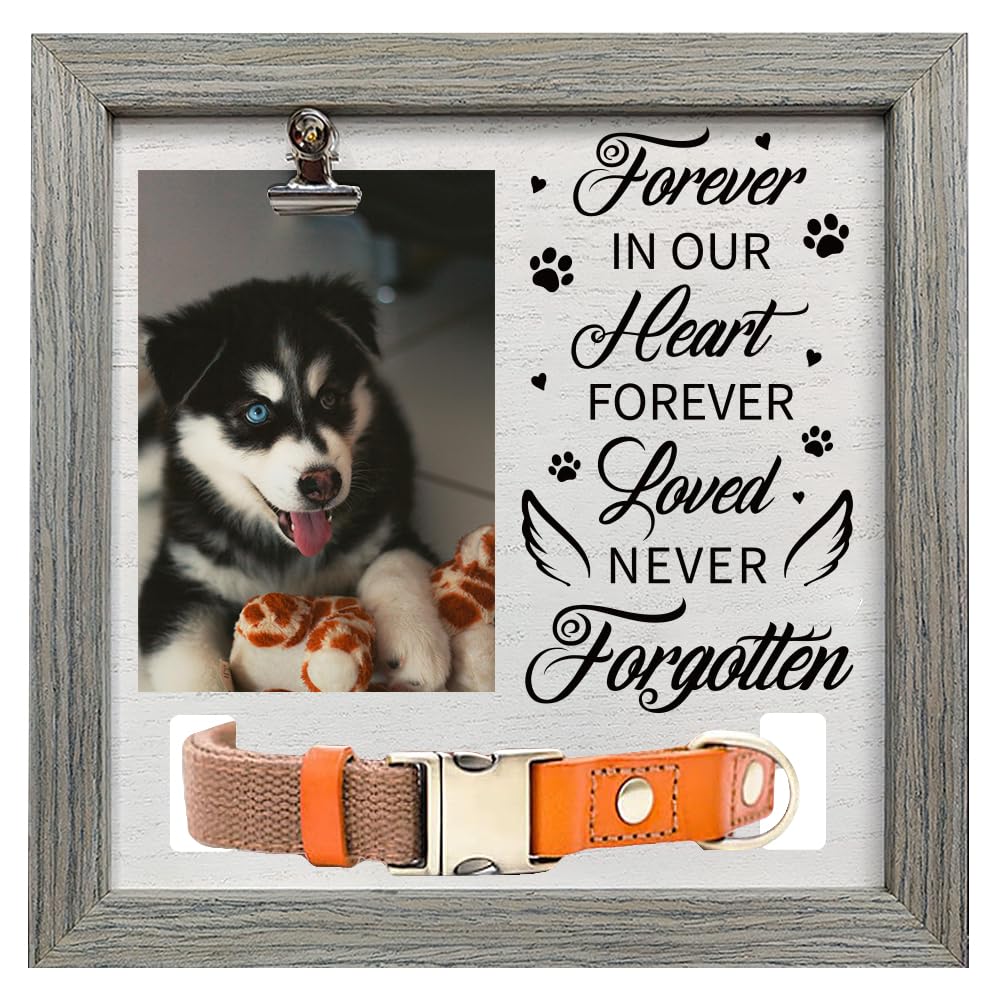 FINGERINSPIRE Pet Memorial Picture Frame 23x23cm Forever in our Heart Forever Loved Never Forgotten Pet Picture Frames with Photo Clip & Collar Holder Wood Gifts Frame for Dogs Cat Pets that Passed