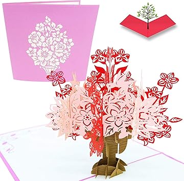 enviar un regalo por amazon