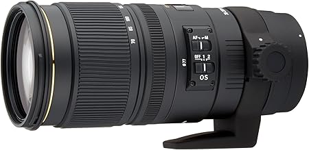 Amazon Co Jp Sigma 望遠ズームレンズ Apo 70 0mm F2 8 Ex Dg Os Hsm ニコン用 フルサイズ対応 5554 家電 カメラ