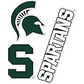 Desert Cactus Michigan State University Sticker Spartans MSU Vinyl Decals Laptop Water Bottle Car Scrapbook T5 (Type 5-1)