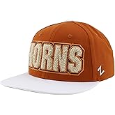 ZHATS NCAA Officially Licensed Adjustable Snapback Hat Flat Bill Z11 Retro Chenille