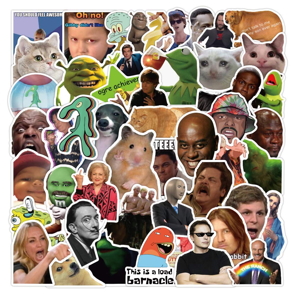 LYunMu 100pcs Funny Meme Vinyl Stickers Pack,DIY Decor for Bumper Wall Laptop,Water Bottles,Computer,Trendy Meme Stickers,Waterproof Vinyl Stickers for Adults,Teens,Boys,Girls,No Repetition