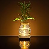 Everkeen Plant Propagation Station with Light, Valentines Day Glass Terrarium with Stepless Dimming Function Hydroponic Glass Container Vase Jars Gardening Gifts for Mom Women Plant Lovers