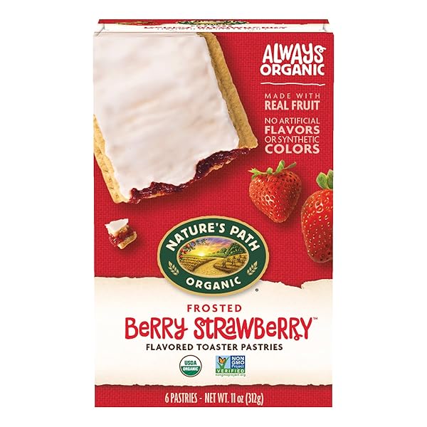 NATURE’S PATH ORGANIC FROSTED BERRY STRAWBERRY TOASTER PASTRIES, 11 OZ (PACK OF 1), NON-GMO