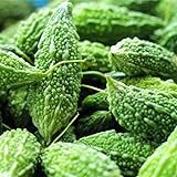 Generic Gourd Bitter Melon Dark Jade 5 Seeds for