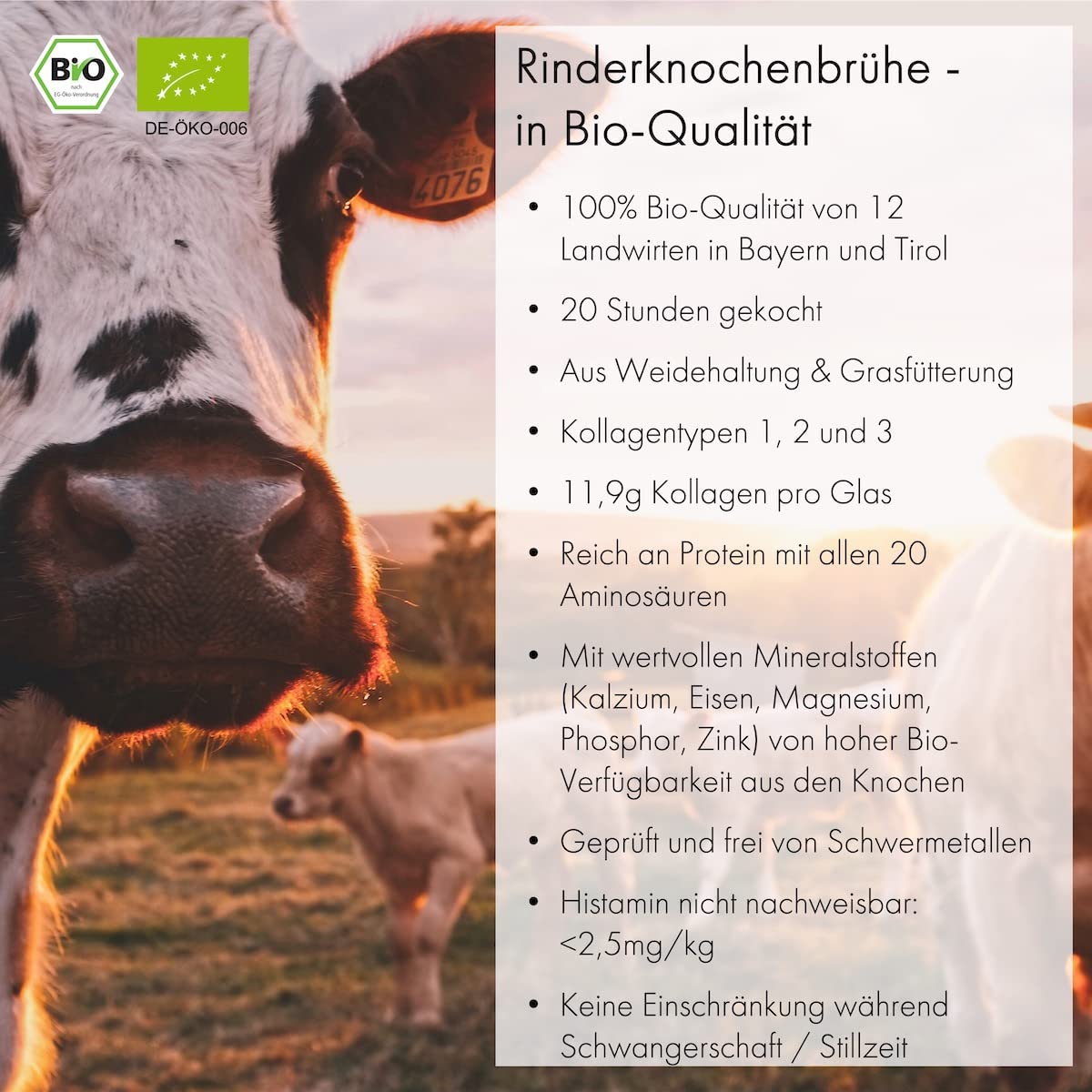 JARMINO Bio Knochenbrühe aus Weidehaltung | 12x 350ml Bone Broth | Brühe vom Rind | enthält Kollagen & Protein | Alternative zu Kollagenhydrolysat & Collagen Kapseln 5
