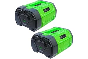 DTK Replacement for EGO 56V Battery 10Ah 2 Packs BA4200 BA4200T BA2800 BA2800T BA5600 BA5600T BA1400 BA1400T Lithium Ion Batt