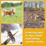 Vivifying Long Dog Lead 10M Reflective Floating with Soft Handle Orange view 4