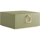 SONGMICS 2-Layer Jewelry Box, Jewelry Organizer with Handle, Removable Jewelry Tray, Jewelry Storage, Floating Effect, 8.1 x 9.4 x 4.3 Inches, Gift Idea, Sage Green UJBC165C02