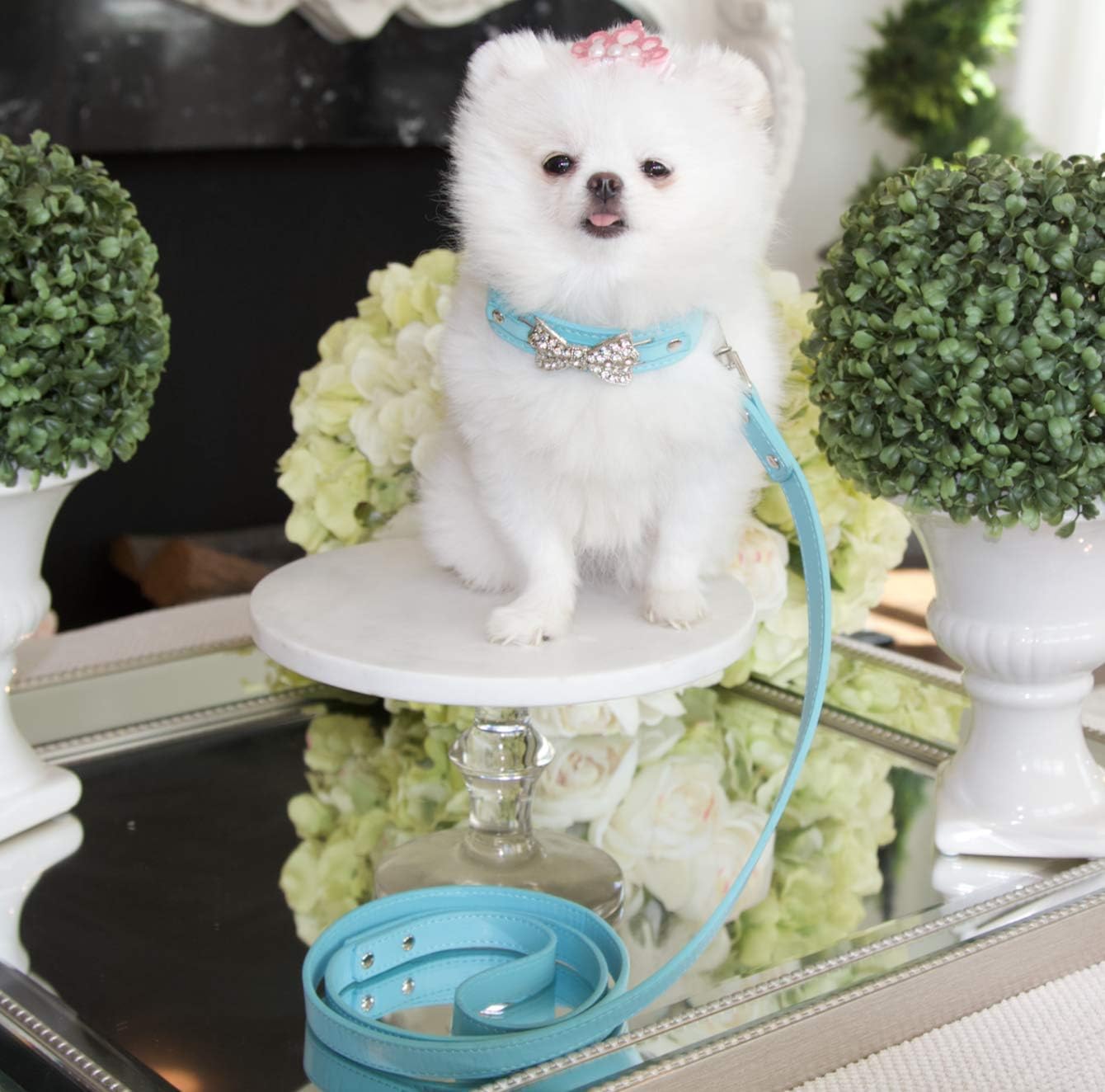 tiffany and co dog collar and leash
