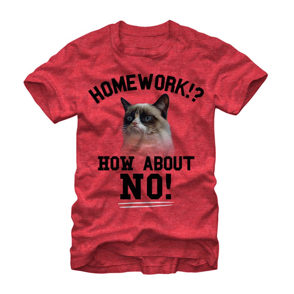 Grumpy cat death image