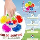 ZBATHTOY Colour Sorting Toys for Toddlers 3 4 5 6 Years Montessori view 2