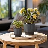 T4U 6 Pack 10cm Self Watering Plant Pots Indoor Grey Plastic view 8