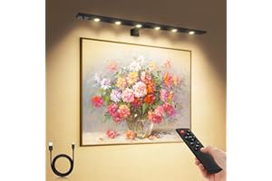 ARIXINKS 22''Led Picture Light for Wall Art with Remote, 6000mAh Rechargeable Battery Painting Light for Picture Full Metal, Ultra Thin Picture Lights Wireless Wall Light 3 Lighting Dimmable Timer
