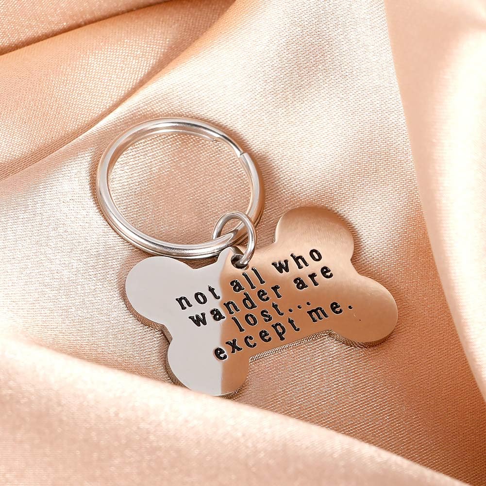 Funny Pet ID Tags for Dogs Collar for Kitten New Puppy Stainless Steel Not All Who Wander are Lost Except Me Cat Charm Christmas Gift Identification Charm : Pet Supplies