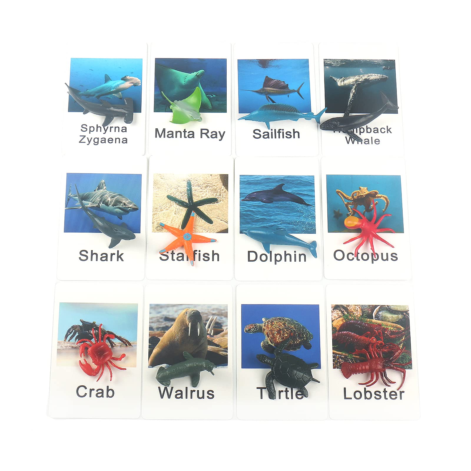 MEROCO Montessori Animal Match Game Cards Marine Animal Matching Montessori Language Materials Toddlers Preschool Educational Learning Toys NEWT011