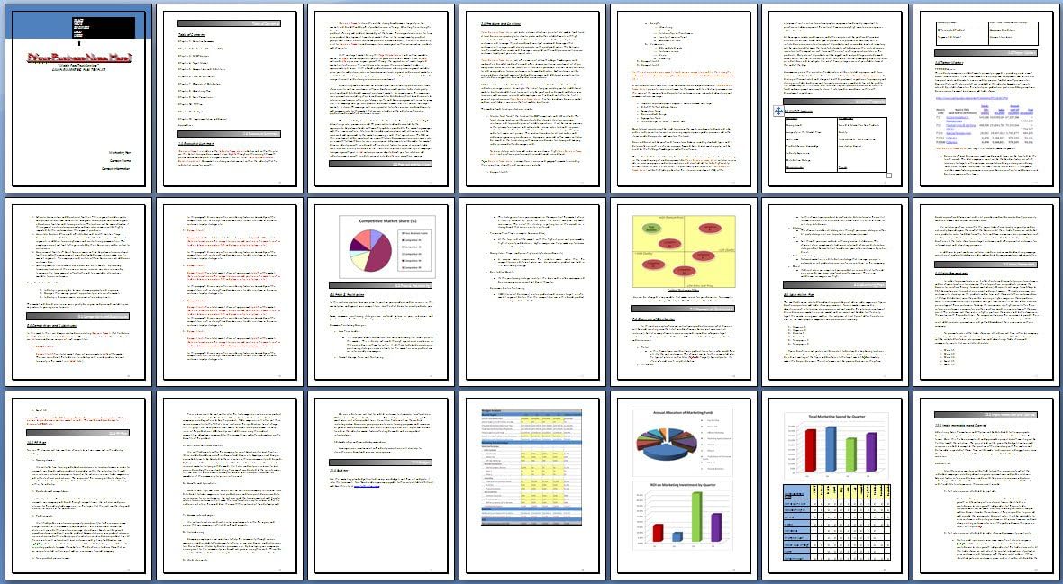 Marketing Plan Template for Web Host Service