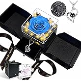 Megapuxin Preserved Real Rose-Eternal Flowers Rose Mothers Day for Mom Women Her Wife Girlfriend on Birthday Valentines with I Love You Necklace 100 Languages Romantic Gift (Light Blue)