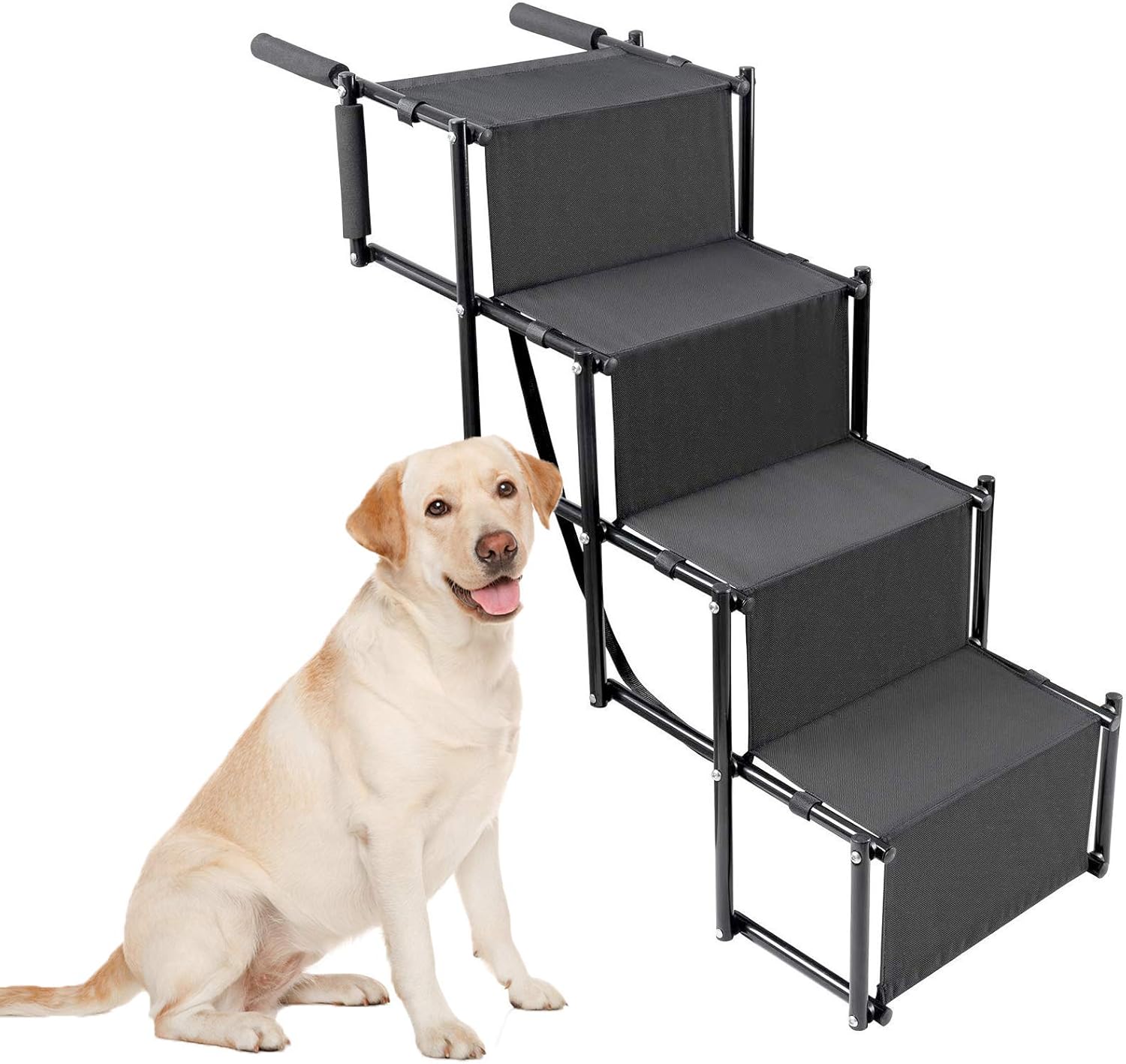 accordion pet steps