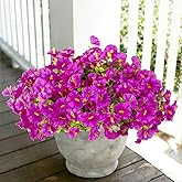 BSGlobal 12 Bundles Artificial Flowers for Outdoors Decoration, Faux Silk Morning Glory Flowers UV Resistant Fake Eucalyptus Plants for Spring Summer Garden Patio Home Decor (Fuchsia)