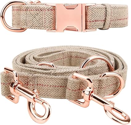 Female dog collar and lead Clearance