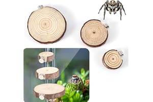 BOXOB 3pcs Jumping Spider Enclosure Ledges, Magnetic Jumping Spider Enclosure Ledges Ladder Magnets Jumping Spider Habitat Pet Spider Enclosure Accessories