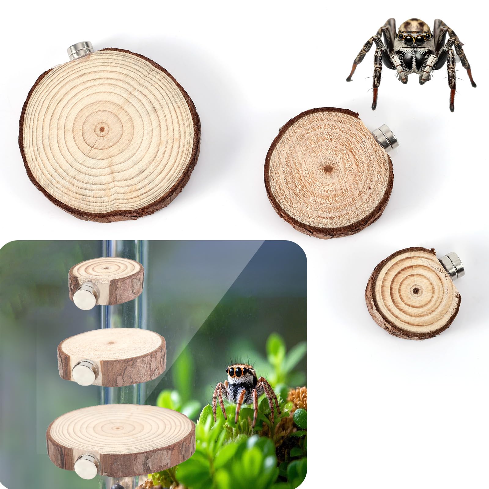 Photo 1 of BOXOB 3pcs Jumping Spider Enclosure Ledges, Magnetic Jumping Spider Enclosure Ledges Ladder Magnets Jumping Spider Habitat Pet Spider Enclosure Accessories