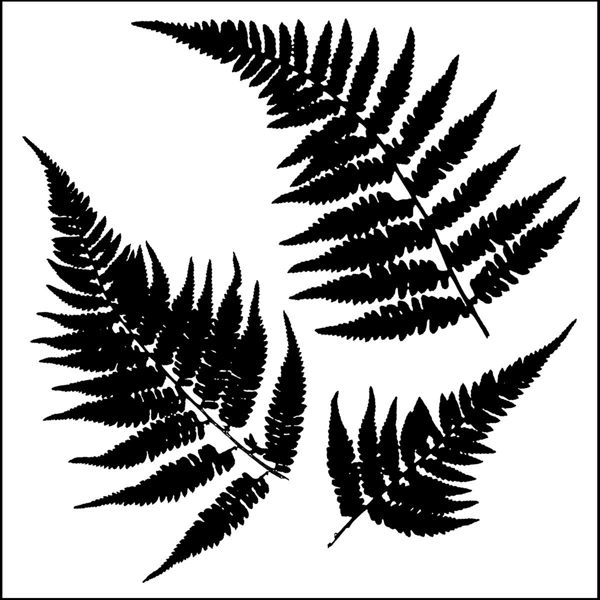Crafters Workshop TCW6X6-243 Template 6-inch x 6-inchMini Ferns
