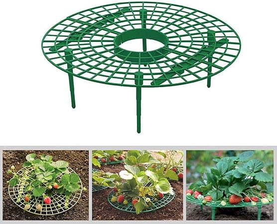 Inicio Soporte de Cultivo de Fresas Estante de Soporte de Plantas ...