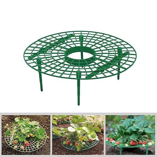 Inicio Soporte de Cultivo de Fresas Estante de Soporte de Plantas ...