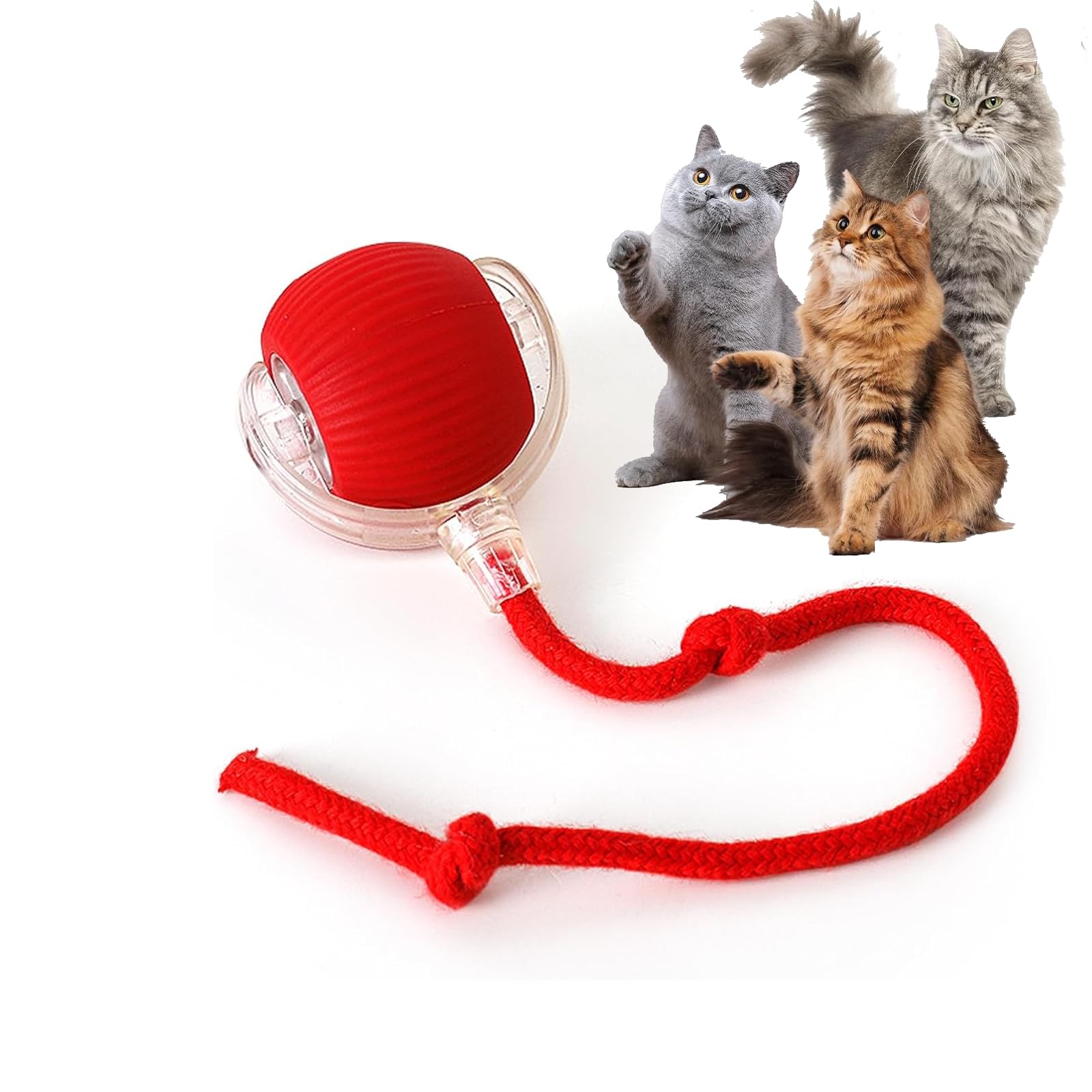 Photo 1 of ***DAMAGED - SEE PHOTOS/NOTES***
Rocfish Durable Interactive Cat Toys for Indoor Cats, Smart Automatic Cat Chase Ball Toy, Upgraded Speedy Tail Kitten Toy for Bored Indoor Adult Pets (Red)