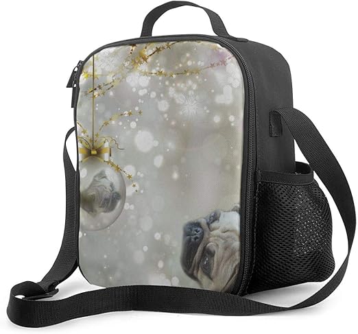 mens backpack lunch bag