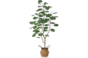 Kazeila Artificial Aralia Balfour Tree,Fake Greenery Plant,Come with Woven Seagrass Belly Basket,Indoor Modern Decoration,4 Feet