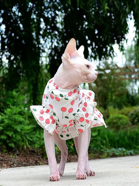 t shirts for cats to wear