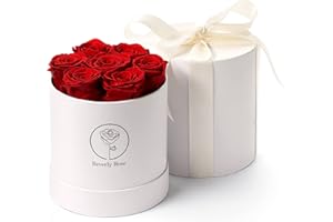 BEVERLY ROSE Forever Roses That Last A Year, Preserved Roses for Delivery Prime, Eternity Roses in A Box, Real Flowers in A Box, Flowers for Delivery Prime Birthday, Valentines Day, Anniversary, 7 Pcs Red