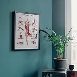 Anatomy Lab 2 PACK Muscular, Yoga Anatomy Poster