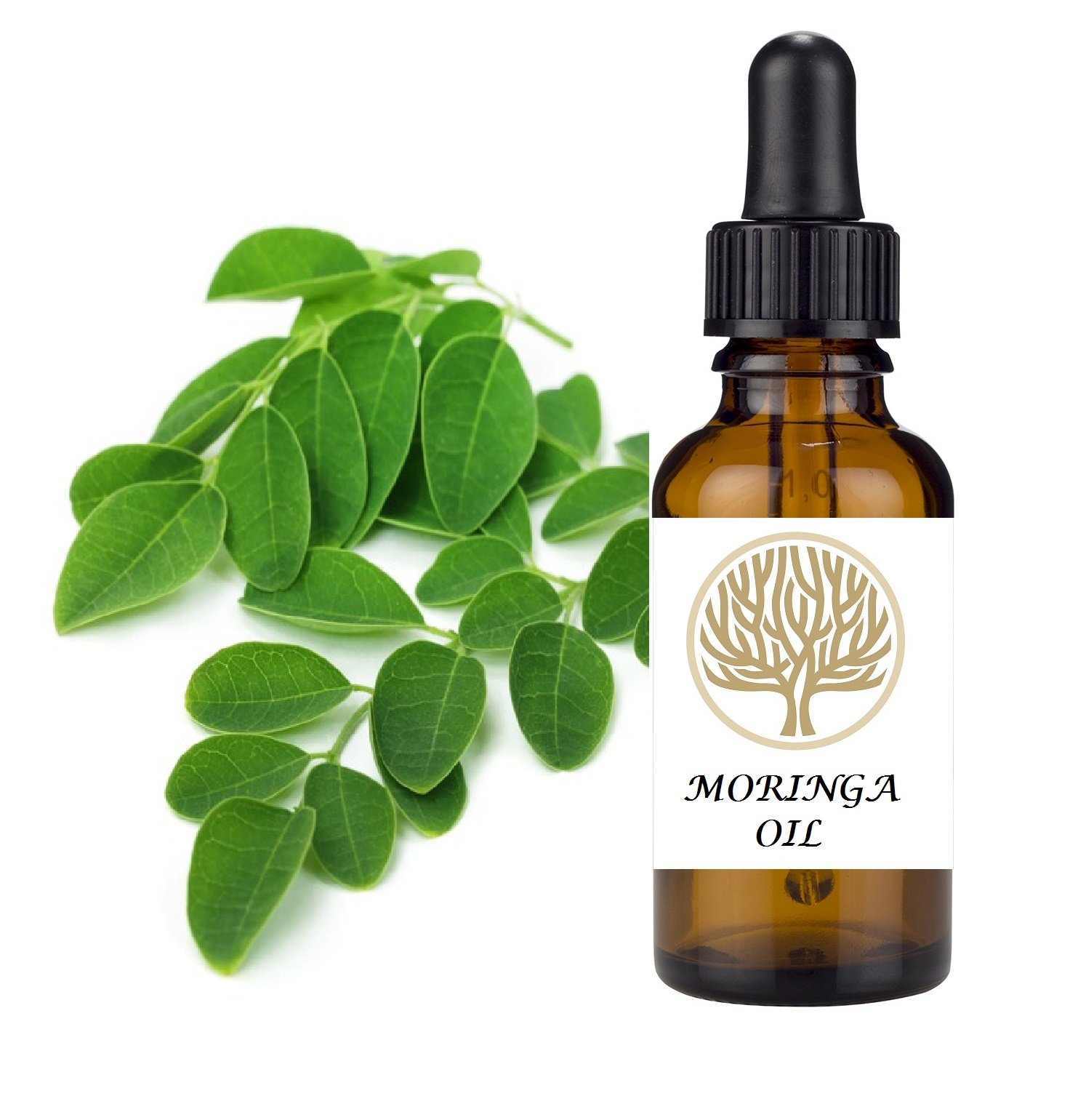 100% NATURAL Moringa Face & Body Oil contains high levels of oleic acid as well as vitamins A and C (30ml)