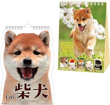 shiba amazon
