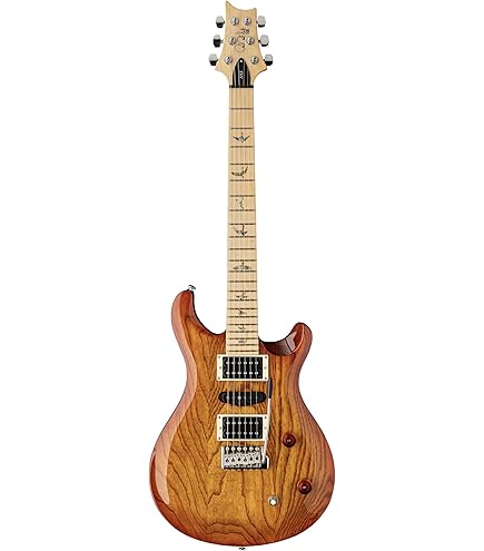 Amazon.com: PRS Paul Reed Smith SE Custom 24-08 6 String Electric