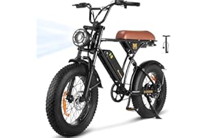 CYCROWN Electric Bike for Adults,Peak 1000W/1500W Motor,20/28MPH 55-150Mile ebikes for Adults with 10.4AH/13AH/26AH Battery,20" Fat Tire Electric Dirt Bike Commuting Off Road Ebike, UL2849