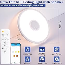 LED Ceiling Light Fixture with Bluetooth