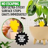 Super Ninja Fungus Gnat Killer 30 Pack Indoor Plant Traps Non-Toxic Yellow view 2