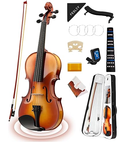 Let's make a violin!◆Stradivari Hellier◆ Let's make a violin!◇Stradivari Hellier◇ Let's make a violin