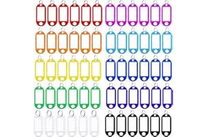 SportStorm 60 Pcs Key Tags with Labels, Tough Plastic Key Tags with Split Ring Label Window with Split Ring Assorted Colors f