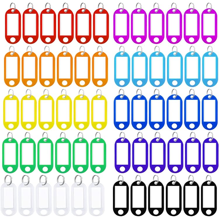 WANGCL Lot De 50 Porte-Clés Étiquettes Inscriptibles – Plastique Robuste Avec Anneau, Insert Papier Protégé, Pour Clés, Bagages, Animaux