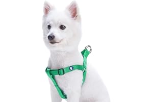 Blueberry Pet Essentials Matching Medium Dog Harness | Adjustable Classic Solid Nylon No Pull Harness for Dogs | Easy Walk Dog Harness for Medium Dogs & Step in Dog Harness | Emerald Dog Harness