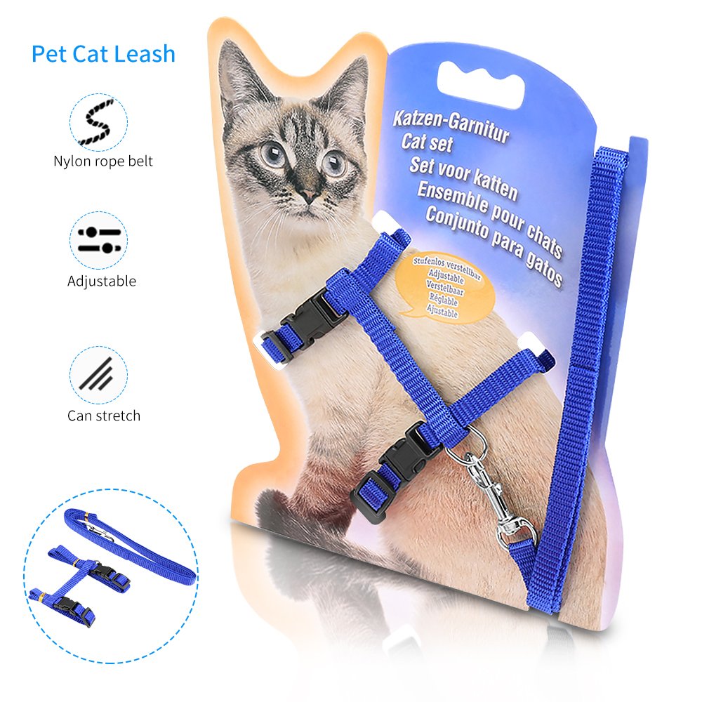 collar antiescape gatos