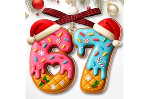 COUPLE FOX 67 Ornament – Donut 6 7 Christmas Ornament – Funny Christmas Ornaments – 67 Meme Gag Gifts for Kids, Girls – Trendy Stocking Stuffers for Teens – Acrylic 6 7 Trending Ornaments Decorations 2025