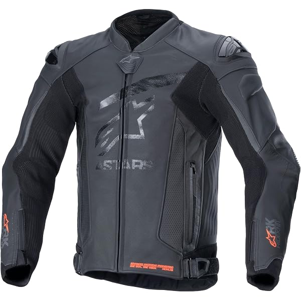 Amazon.com: Alpinestars GP Plus R V3 Airflow Leather Men's Street